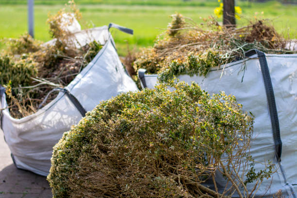 Shed Removal in San Marcos, TX